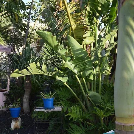 Daita 2 Daita 3 Granadilla de Abona