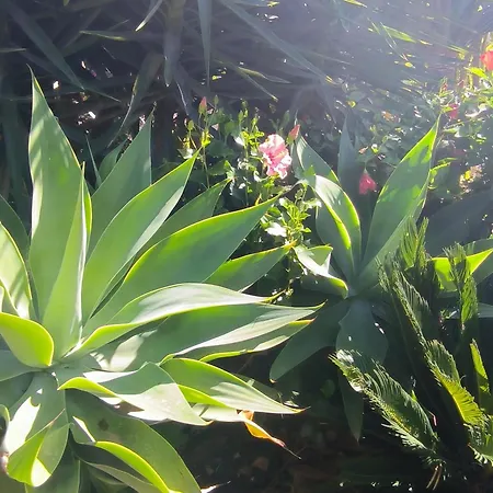 Daita 2 Daita 3 شقة غراناديا دي أبونا