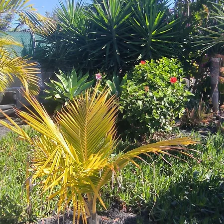 Daita 2 Daita 3 * Granadilla de Abona