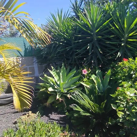 Daita 2 Daita 3 شقة *