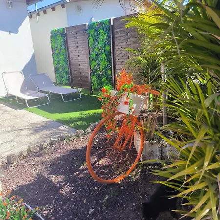 Apartman Daita 2 Daita 3