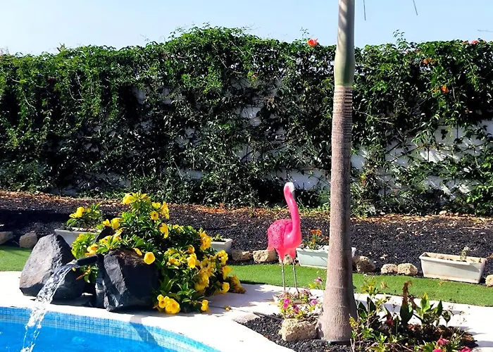 Daita 2 Daita 3 * Granadilla De Abona