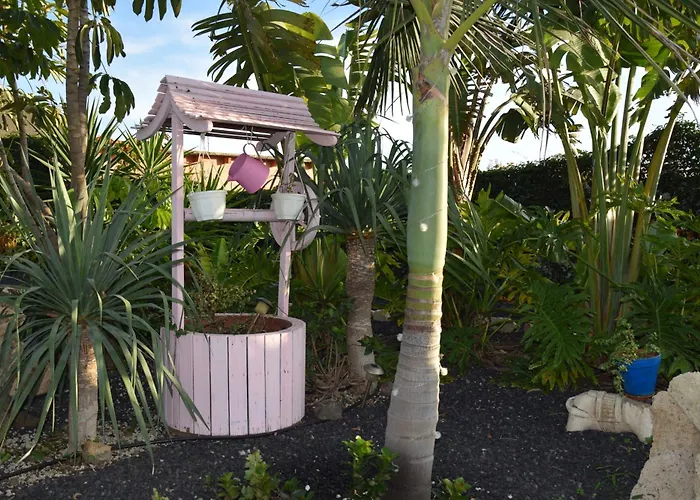 Daita 2 Daita 3 Lägenhet *