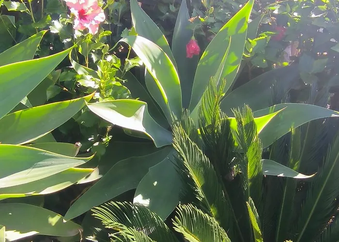 Lägenhet Daita 2 Daita 3 *