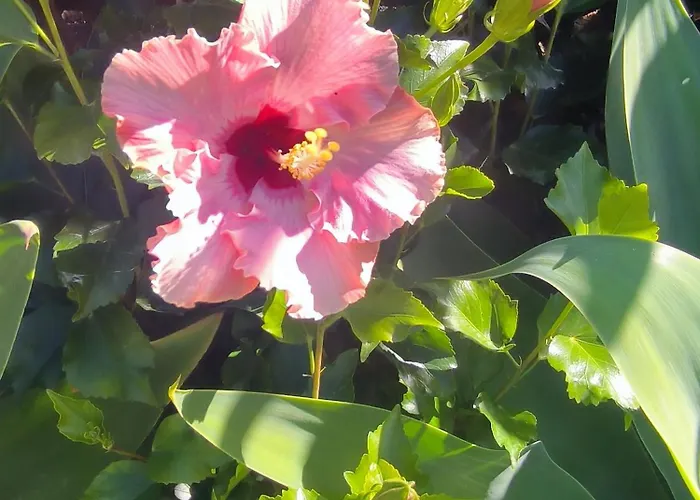 Daita 2 Daita 3 Lägenhet *