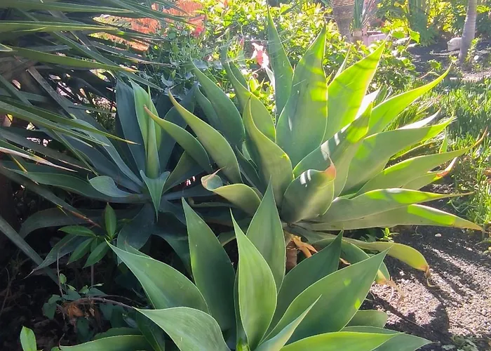 Lägenhet Daita 2 Daita 3 *