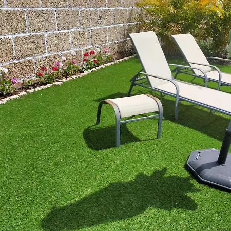 Daita 2 Daita 3 Apartament