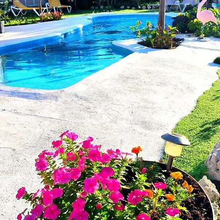Daita 2 Daita 3 Apartament