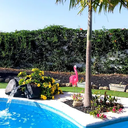 Daita 2 Daita 3 * グラナディージャ・デ・アボナ