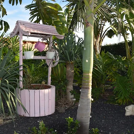 Daita 2 Daita 3 アパート *