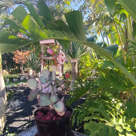 Daita 2 Daita 3 Granadilla De Abona