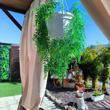 Daita 2 Daita 3 Daire Granadilla De Abona