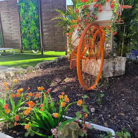 Daire Daita 2 Daita 3 Granadilla De Abona