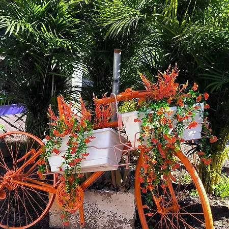 Daire Daita 2 Daita 3 *