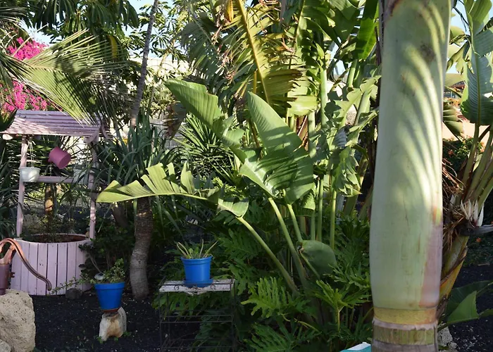 Daita 2 Daita 3 Granadilla De Abona