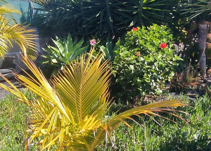 Daita 2 Daita 3 * Granadilla De Abona