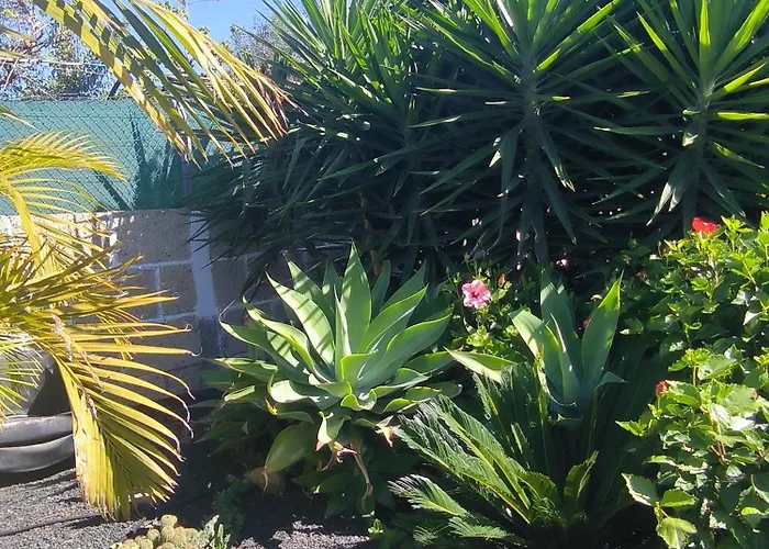 Daita 2 Daita 3 Apartment *