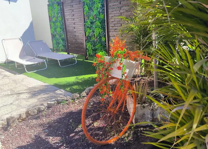 Daire Daita 2 Daita 3